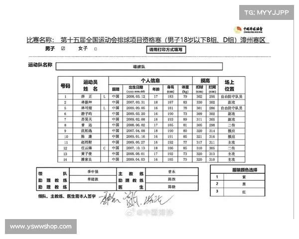 中国男排赛事表