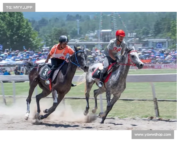 大理赛事活动2024