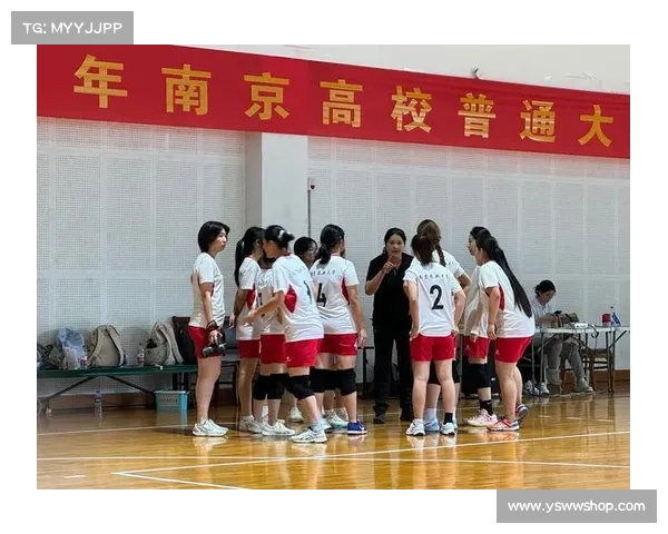 排球 南京 排球 南京